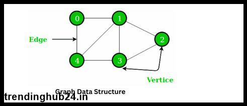 what is the difference between tree and graph data structure 1.jpg